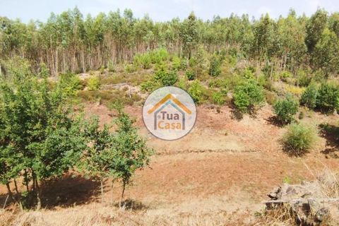 Farm i Santa Comba Dao, Viseu, Santa Comba Dao - € 37.000 | Ref: 2TC2800 - foto 20