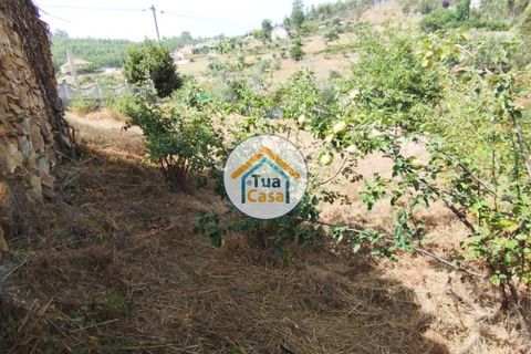 Farm i Santa Comba Dao, Viseu, Santa Comba Dao - € 37.000 | Ref: 2TC2800 - foto 21