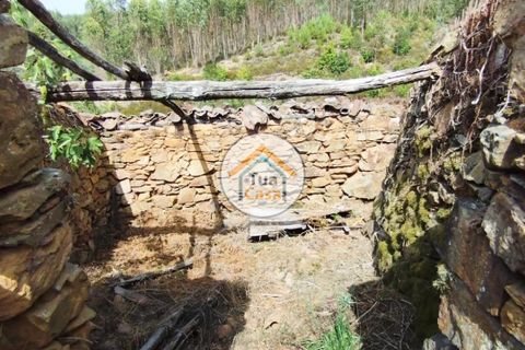 Farm i Santa Comba Dao, Viseu, Santa Comba Dao - € 37.000 | Ref: 2TC2800 - foto 22
