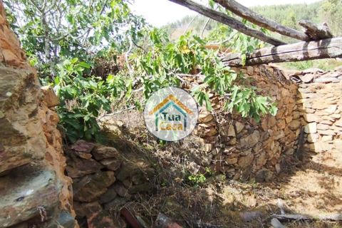 Farm i Santa Comba Dao, Viseu, Santa Comba Dao - € 37.000 | Ref: 2TC2800 - foto 23
