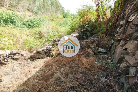 Farm i Santa Comba Dao, Viseu, Santa Comba Dao - € 37.000 | Ref: 2TC2800 - foto 24