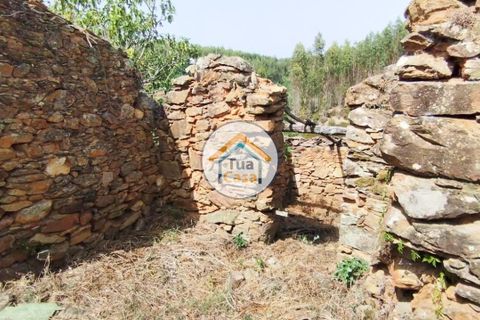 Farm i Santa Comba Dao, Viseu, Santa Comba Dao - € 37.000 | Ref: 2TC2800 - foto 25