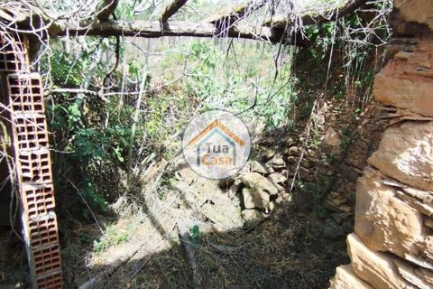 Farm i Santa Comba Dao, Viseu, Santa Comba Dao - € 37.000 | Ref: 2TC2800 - foto 26