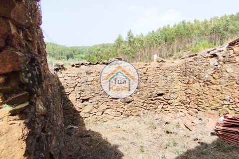 Farm i Santa Comba Dao, Viseu, Santa Comba Dao - € 37.000 | Ref: 2TC2800 - foto 32
