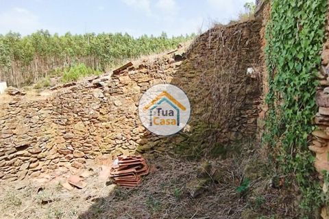 Farm i Santa Comba Dao, Viseu, Santa Comba Dao - € 37.000 | Ref: 2TC2800 - foto 34