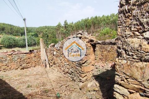 Farm i Santa Comba Dao, Viseu, Santa Comba Dao - € 37.000 | Ref: 2TC2800 - foto 36