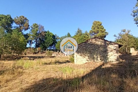 Terra a Sernancelhe, Viseu, Sernancelhe - € 270.000 | Ref: 2TC2717 - foto 2