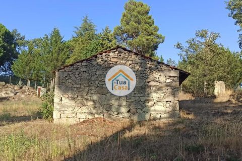 Terra a Sernancelhe, Viseu, Sernancelhe - € 270.000 | Ref: 2TC2717 - foto 3