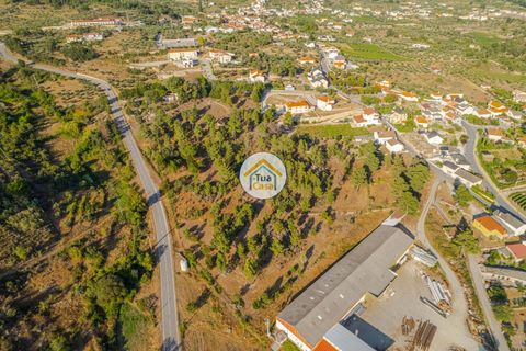 Terra a Sernancelhe, Viseu, Sernancelhe - € 270.000 | Ref: 2TC2717 - foto 6
