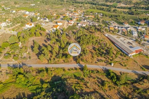 Terra a Sernancelhe, Viseu, Sernancelhe - € 270.000 | Ref: 2TC2717 - foto 8