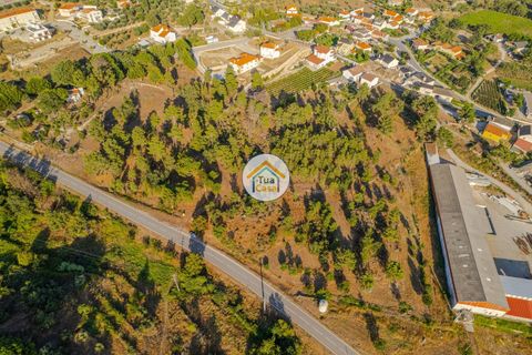 Terra a Sernancelhe, Viseu, Sernancelhe - € 270.000 | Ref: 2TC2717 - foto 10