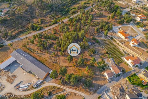 Terra a Sernancelhe, Viseu, Sernancelhe - € 270.000 | Ref: 2TC2717 - foto 19