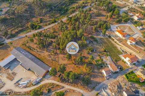 Terra a Sernancelhe, Viseu, Sernancelhe - € 270.000 | Ref: 2TC2717 - foto 20
