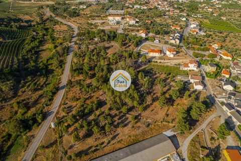Tomt i Sernancelhe, Viseu, Sernancelhe - € 70 000 | Ref: 2TC2718 - foto 3