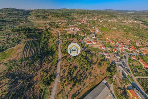 Tomt i Sernancelhe, Viseu, Sernancelhe - € 70 000 | Ref: 2TC2718 - foto 6