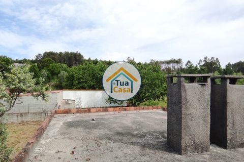 Byhus i Viseu, Viseu, Viseu - € 97.000 | Ref: TC2527 - foto 30