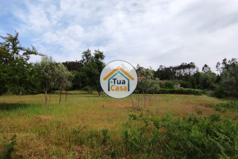 Byhus i Viseu, Viseu, Viseu - € 97.000 | Ref: TC2527 - foto 33