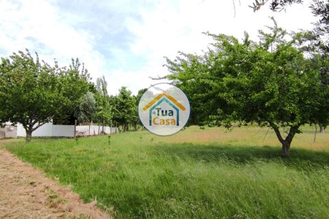 Byhus i Viseu, Viseu, Viseu - € 97.000 | Ref: TC2527 - foto 34