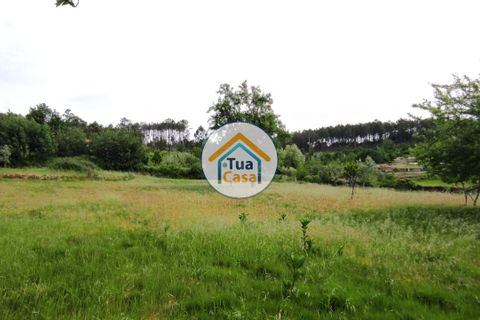 Byhus i Viseu, Viseu, Viseu - € 97.000 | Ref: TC2527 - foto 35