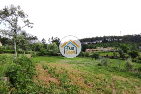 Byhus i Viseu, Viseu, Viseu - € 97.000 | Ref: TC2527 - foto 23
