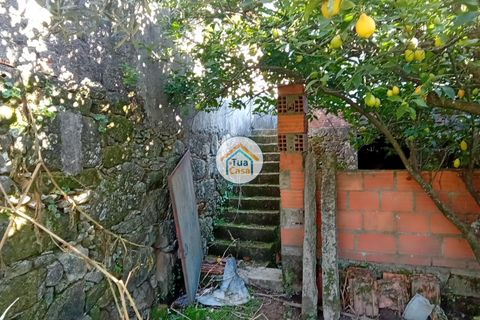 Byhus i Viseu, Viseu, Viseu - € 97.000 | Ref: TC2527 - foto 5