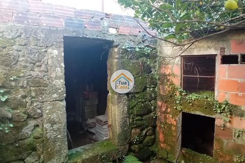 Byhus i Viseu, Viseu, Viseu - € 97.000 | Ref: TC2527 - foto 7