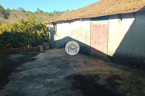 Byhus i Viseu, Viseu, Viseu - € 97.000 | Ref: TC2527 - foto 8