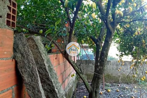 Byhus i Viseu, Viseu, Viseu - € 97.000 | Ref: TC2527 - foto 11