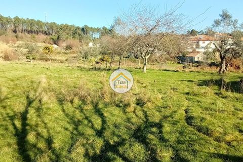 Byhus i Viseu, Viseu, Viseu - € 97.000 | Ref: TC2527 - foto 20