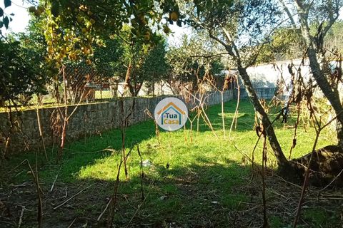 Byhus i Viseu, Viseu, Viseu - € 97.000 | Ref: TC2527 - foto 21