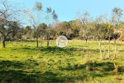 Byhus i Viseu, Viseu, Viseu - € 97.000 | Ref: TC2527 - foto 22