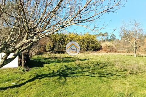 Byhus i Viseu, Viseu, Viseu - € 97.000 | Ref: TC2527 - foto 28