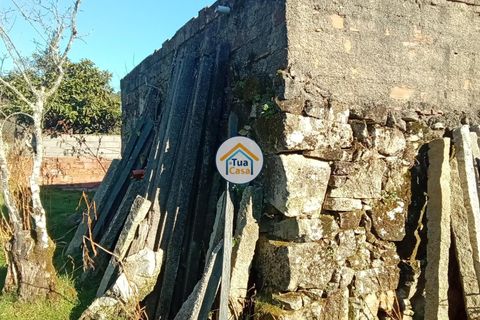 Byhus i Viseu, Viseu, Viseu - € 97.000 | Ref: TC2527 - foto 36