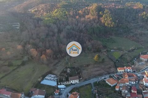 Farm i Viseu, Viseu, Viseu - € 450.000 | Ref: 2TC2604 - foto 2