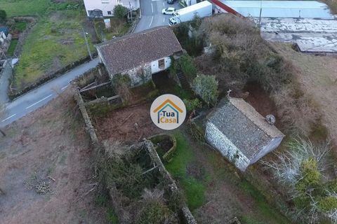 Farm i Viseu, Viseu, Viseu - € 450.000 | Ref: 2TC2604 - foto 3