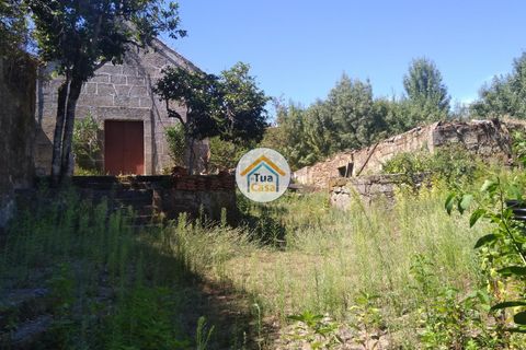 Farm i Viseu, Viseu, Viseu - € 450.000 | Ref: 2TC2604 - foto 8