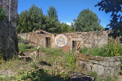 Farm i Viseu, Viseu, Viseu - € 450.000 | Ref: 2TC2604 - foto 9
