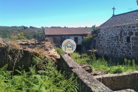 Farm i Viseu, Viseu, Viseu - € 450.000 | Ref: 2TC2604 - foto 10