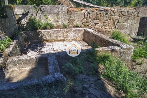 Farm i Viseu, Viseu, Viseu - € 450.000 | Ref: 2TC2604 - foto 11