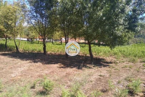 Farm i Viseu, Viseu, Viseu - € 450.000 | Ref: 2TC2604 - foto 12