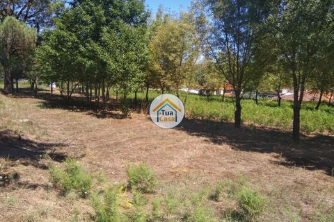 Farm i Viseu, Viseu, Viseu - € 450.000 | Ref: 2TC2604 - foto 15