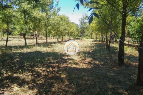 Farm i Viseu, Viseu, Viseu - € 450.000 | Ref: 2TC2604 - foto 16
