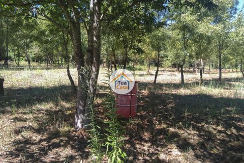 Farm i Viseu, Viseu, Viseu - € 450.000 | Ref: 2TC2604 - foto 17