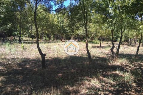 Farm i Viseu, Viseu, Viseu - € 450.000 | Ref: 2TC2604 - foto 18