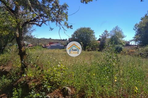 Farm i Viseu, Viseu, Viseu - € 450.000 | Ref: 2TC2604 - foto 19