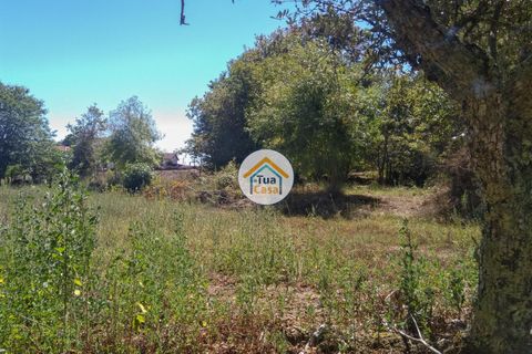 Farm i Viseu, Viseu, Viseu - € 450.000 | Ref: 2TC2604 - foto 20