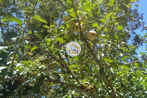 Farm i Viseu, Viseu, Viseu - € 450.000 | Ref: 2TC2604 - foto 21