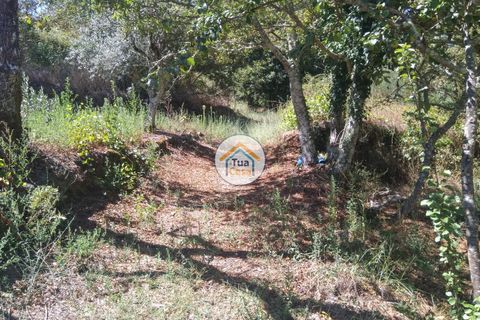 Farm i Viseu, Viseu, Viseu - € 450.000 | Ref: 2TC2604 - foto 22