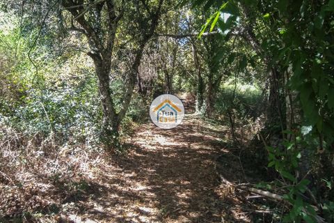 Farm i Viseu, Viseu, Viseu - € 450.000 | Ref: 2TC2604 - foto 23
