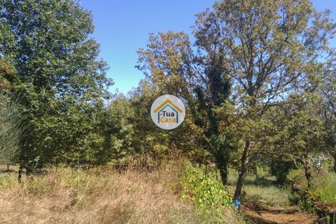 Farm i Viseu, Viseu, Viseu - € 450.000 | Ref: 2TC2604 - foto 24